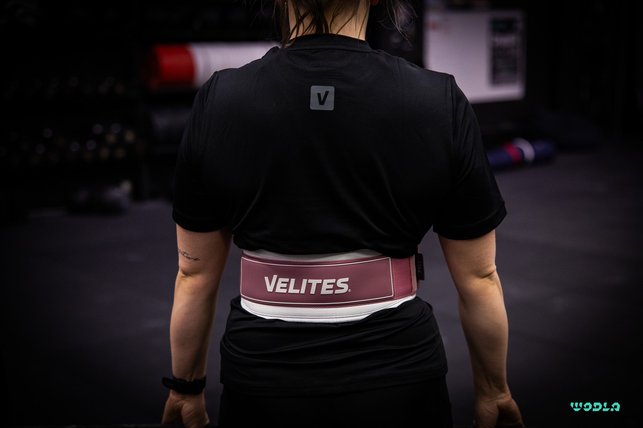 Velites Lifting Belt